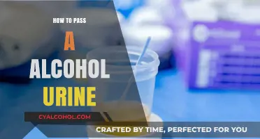 Effective Strategies to Pass an Alcohol Urine Test Successfully