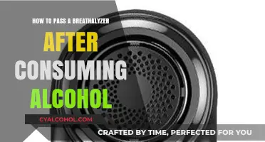 Breathalyzers: Beating the Test After Drinking Alcohol