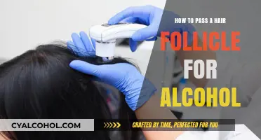Passing Hair Follicle Alcohol Test: Strategies for Success