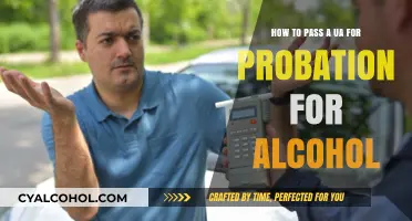 Passing Probation Alcohol Tests: Strategies and Tips