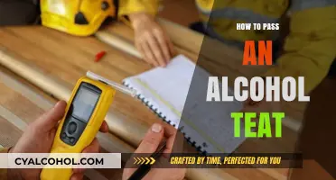 Mastering the Alcohol Test: Proven Strategies for Success and Sobriety