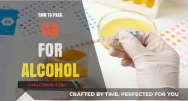 Effective Strategies to Pass a UA Test for Alcohol Detection