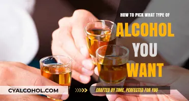 Choosing Alcohol: A Guide to Your Taste