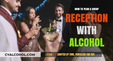 Planning an Affordable Alcoholic Reception: Tips and Tricks