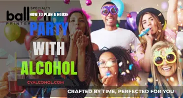 Alcohol-Fueled House Party Planning Guide