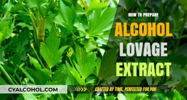 Crafting Alcohol Lovage Extract: A Step-by-Step Preparation Guide