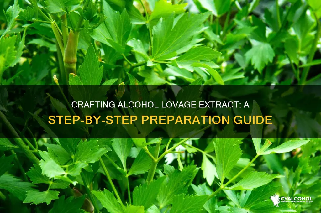 how to prepare alcohol lovage extract