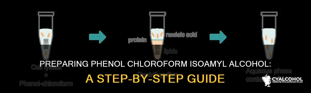 how to prepare phenol chloroform isoamyl alcohol 25 24 1