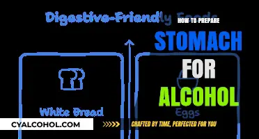 Pre-Drinking Tips: How to Prepare Your Stomach for Alcohol
