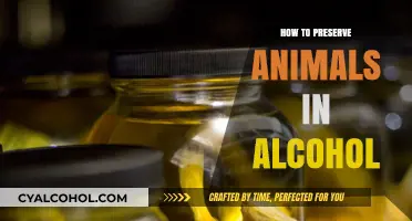 Preserving Wildlife: A Guide to Alcohol-Based Animal Conservation Techniques