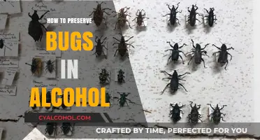 Preserving Bugs in Alcohol: A Step-by-Step Guide for Collectors