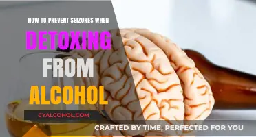 Preventing Alcohol Detox Seizures: A Guide