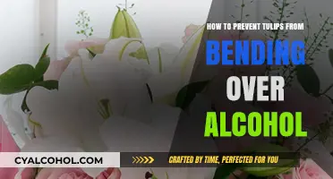 Preventing Tulip Stems from Bending with Alcohol