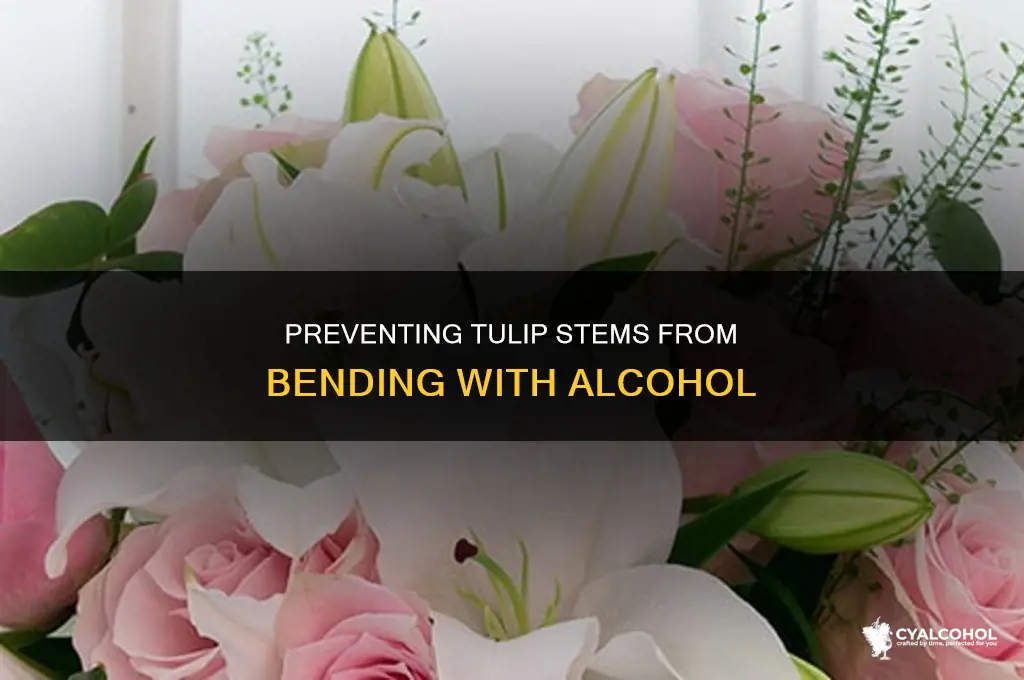 how to prevent tulips from bending over alcohol