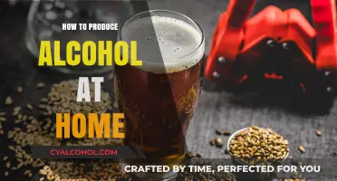 Mastering Homebrew: A Beginner's Guide to Crafting Alcohol at Home