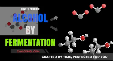 Mastering Alcohol Fermentation: A Step-by-Step Guide to Homemade Production