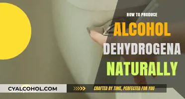 Boosting Alcohol Dehydrogenase Production Naturally: Effective Methods and Tips