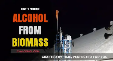 Sustainable Biofuel Production: Converting Biomass into Alcohol Efficiently