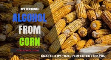 Crafting Corn Spirits: A Step-by-Step Guide to Homemade Alcohol Production