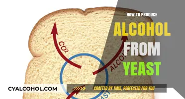 Brewing Basics: Crafting Alcohol with Yeast Fermentation Techniques