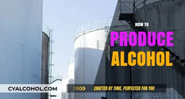 Mastering the Art of Alcohol Production: A Comprehensive Guide