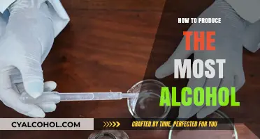 Mastering Alcohol Production: Techniques for Maximum Yield and Quality