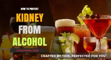 Safeguard Your Kidneys: Effective Strategies to Minimize Alcohol's Impact