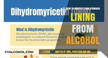 Protect Your Stomach Lining: Strategies Against Alcohol Damage
