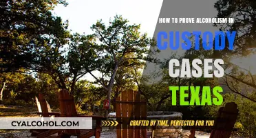 Alcoholism Custody Battle: Proving Sobriety in Texas