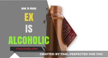 Signs and Steps to Prove Your Ex is an Alcoholic