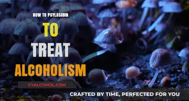 Exploring Psilocybin Therapy: A New Approach to Treating Alcoholism