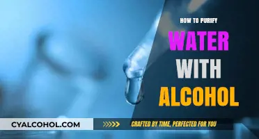 Purifying Water with Alcohol: A Simple Survival Technique Explained