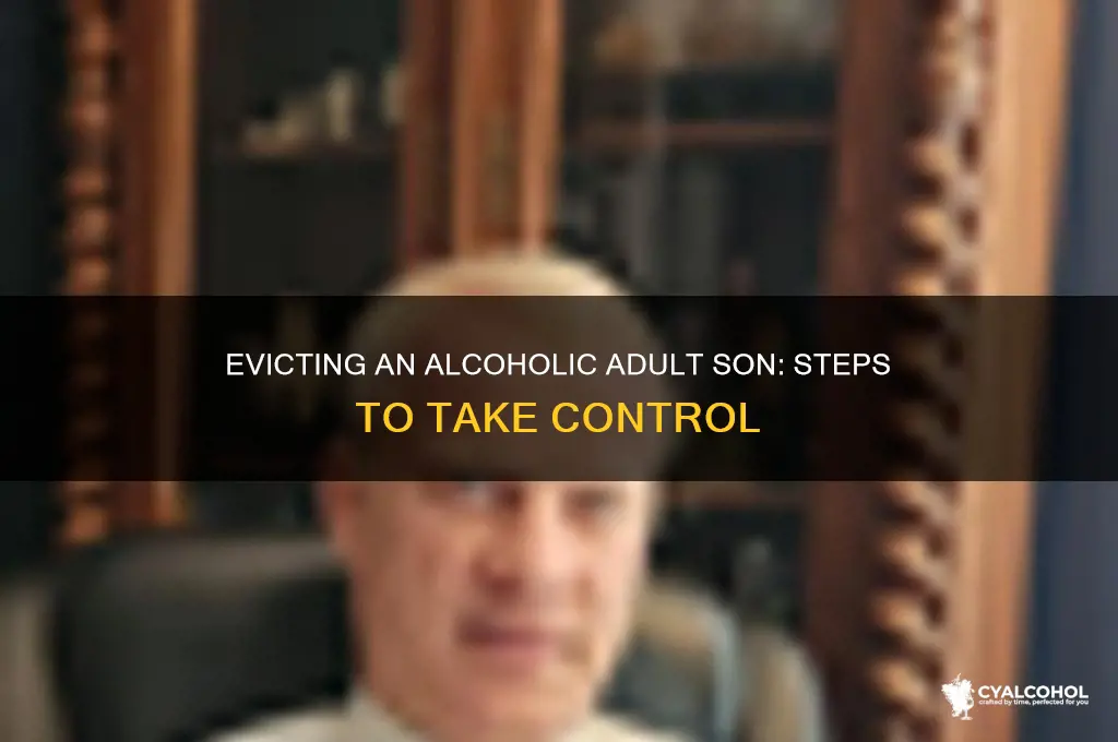 how to push out your adult alcoholic son
