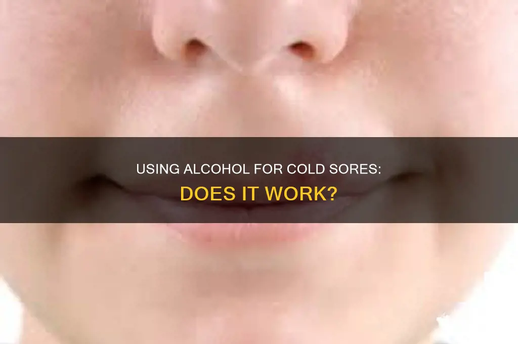 how to put alcohol on a cold sore
