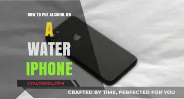 Fixing a Water-Damaged iPhone with Alcohol
