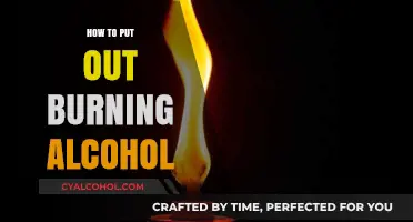Quick Guide: Safely Extinguishing Burning Alcohol in Emergencies