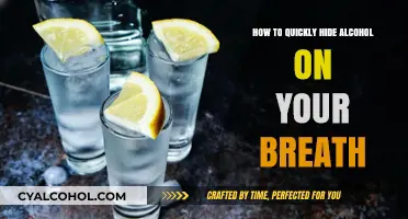 Concealing Alcohol Breath: Quick and Easy Tricks