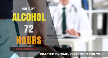 Quit Alcohol in 72 Hours: A Step-by-Step Guide to Sobriety