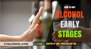 Early Sobriety: Practical Steps to Quit Alcohol and Thrive
