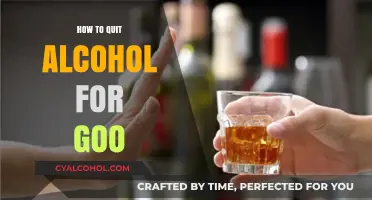 Quit Alcohol for Good: Practical Steps to a Healthier Life