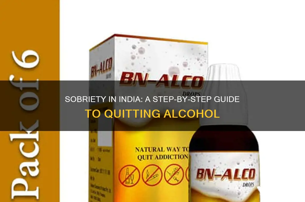 how to quit alcohol in india