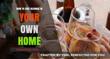 Kicking Alcohol: Your Home Detox Guide