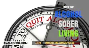 Achieve Sobriety: Practical Steps for Quitting Alcohol and Embracing Sober Living