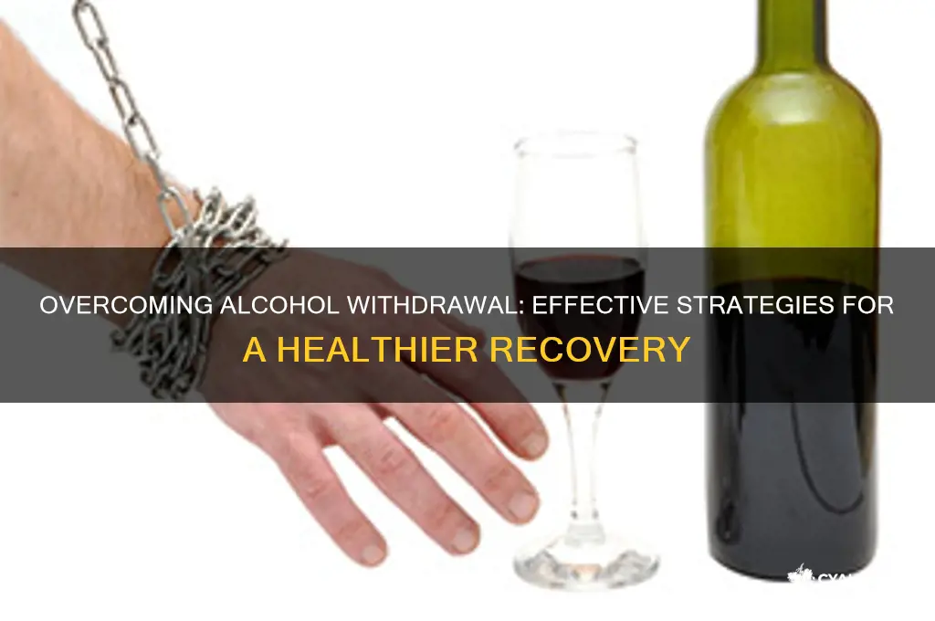 how to quit alcohol withdrawal symptoms