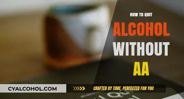 Breaking Free: How to Quit Alcohol Without AA Support