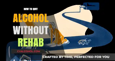 Quit Alcohol Successfully: Self-Guided Strategies for Sobriety Without Rehab
