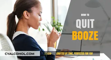 Sober Success: Practical Steps to Quit Alcohol and Reclaim Your Life