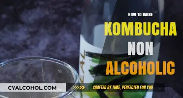 Mastering Non-Alcoholic Kombucha: Simple Steps for Perfect Fermentation