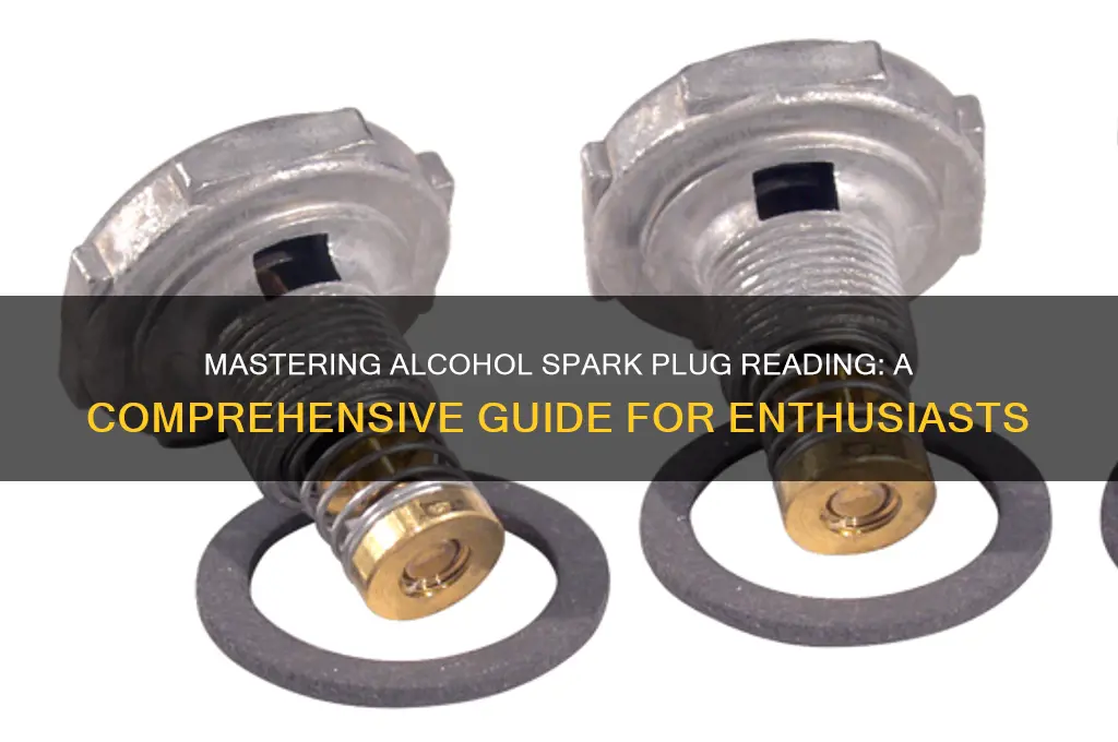 how to read alcohol spark plugs