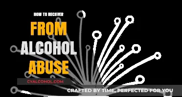 Healing from Alcohol Abuse: A Comprehensive Guide to Recovery and Renewal